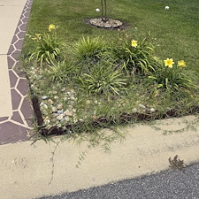 Clean-Up-Project-Conway-SC 8